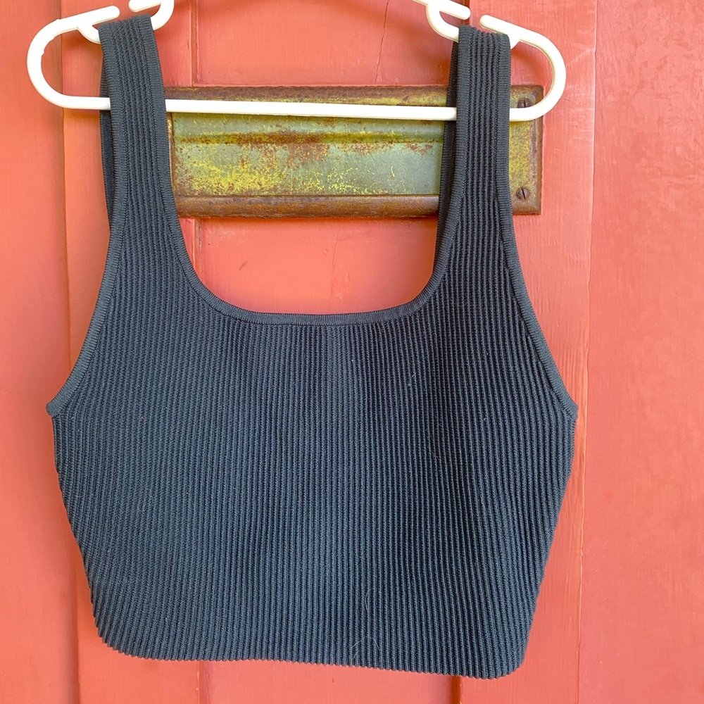 Babaton sculpt knit top